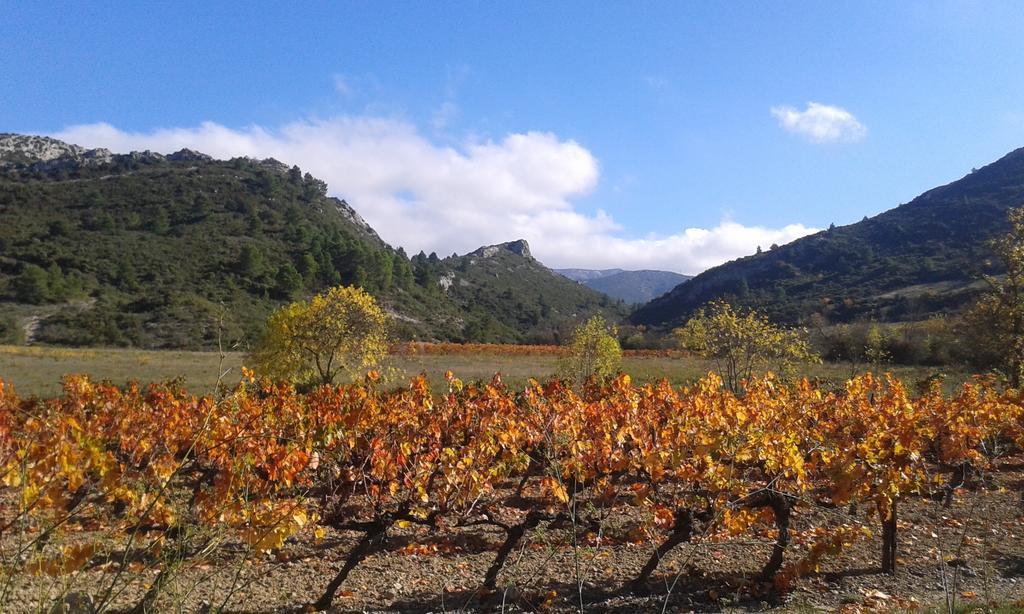 Au Paradis Cathare Fraissé-des-Corbières Kültér fotó